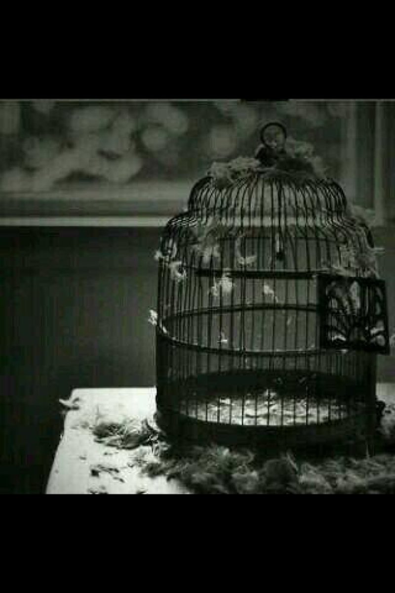 patchi870's tweet image. *

إذا أردت شيئاً فأطلق سراحه وأترك باب القفص مفتوحاً..
فإن رجع فقد كتب لك دائماً ؛ وإن لم يرجع فإنه لم يكتب لك!