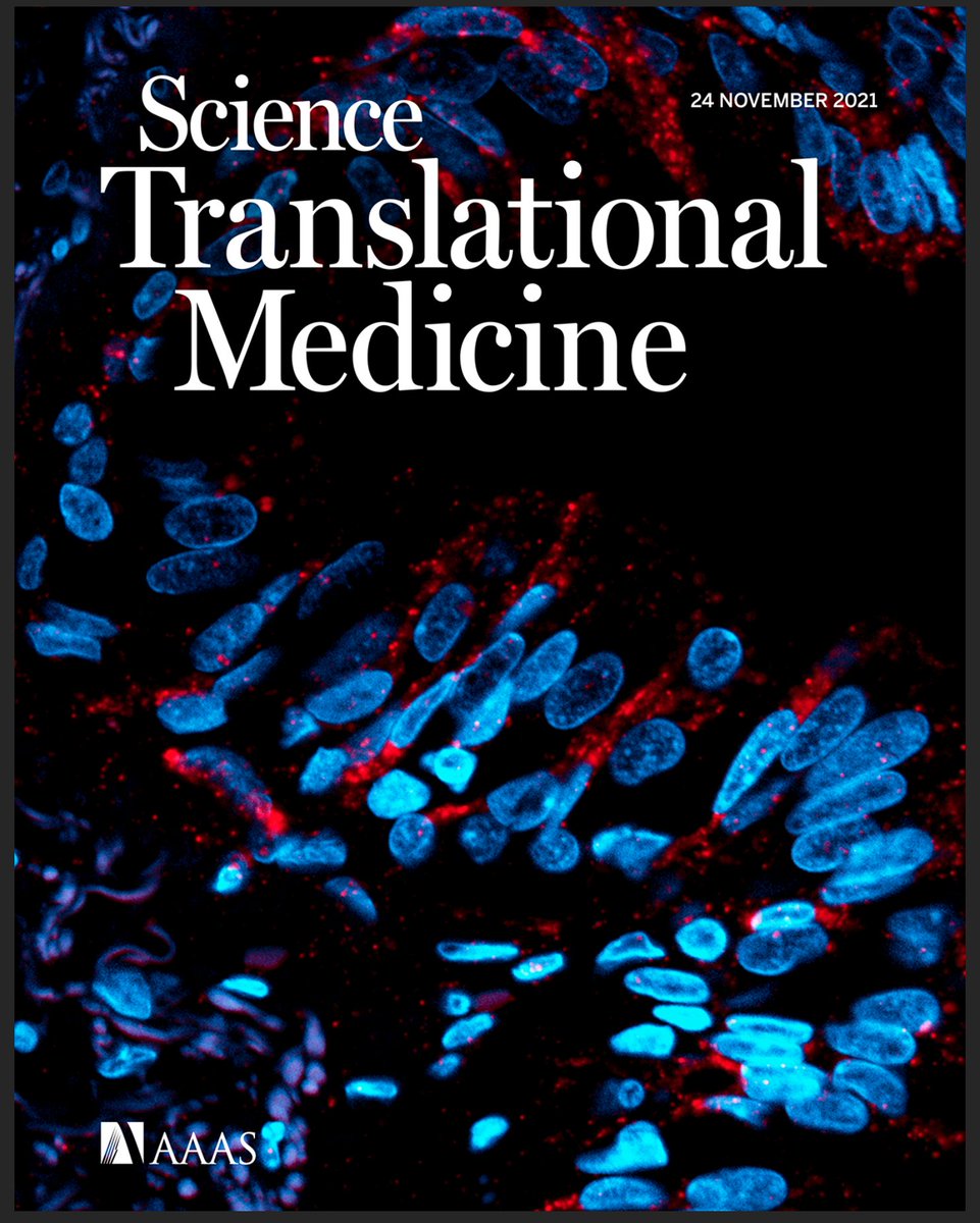 Dr Chantal Donovan (@chantal_donovan) on Twitter photo Our new paper (on the cover!) is out today in <a href="/ScienceTM/">Science Translational Medicine</a> !! Although I have only been involved in this work for 5 yrs, this has been an exciting study to be part of that shows roles for miR-21/SATB1/S100A9/NFkB in #COPD <a href="/UTSEngage/">UTS</a> <a href="/UON_research/">Uni Newcastle Research</a> science.org/doi/10.1126/sc… a🧵1/n Our new paper (on the cover!) is out today in <a href="/ScienceTM/">Science Translational Medicine</a> !! Although I have only been involved in this work for 5 yrs, this has been an exciting study to be part of that shows roles for miR-21/SATB1/S100A9/NFkB in #COPD <a href="/UTSEngage/">UTS</a> <a href="/UON_research/">Uni Newcastle Research</a> science.org/doi/10.1126/sc… a🧵1/n