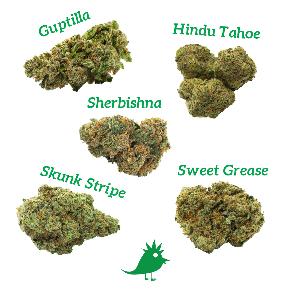 Green_Tree_Fam's tweet photo. A few of our favorite strains 💚🔥🌿 What are yours? https://t.co/sF7ru2vrLB