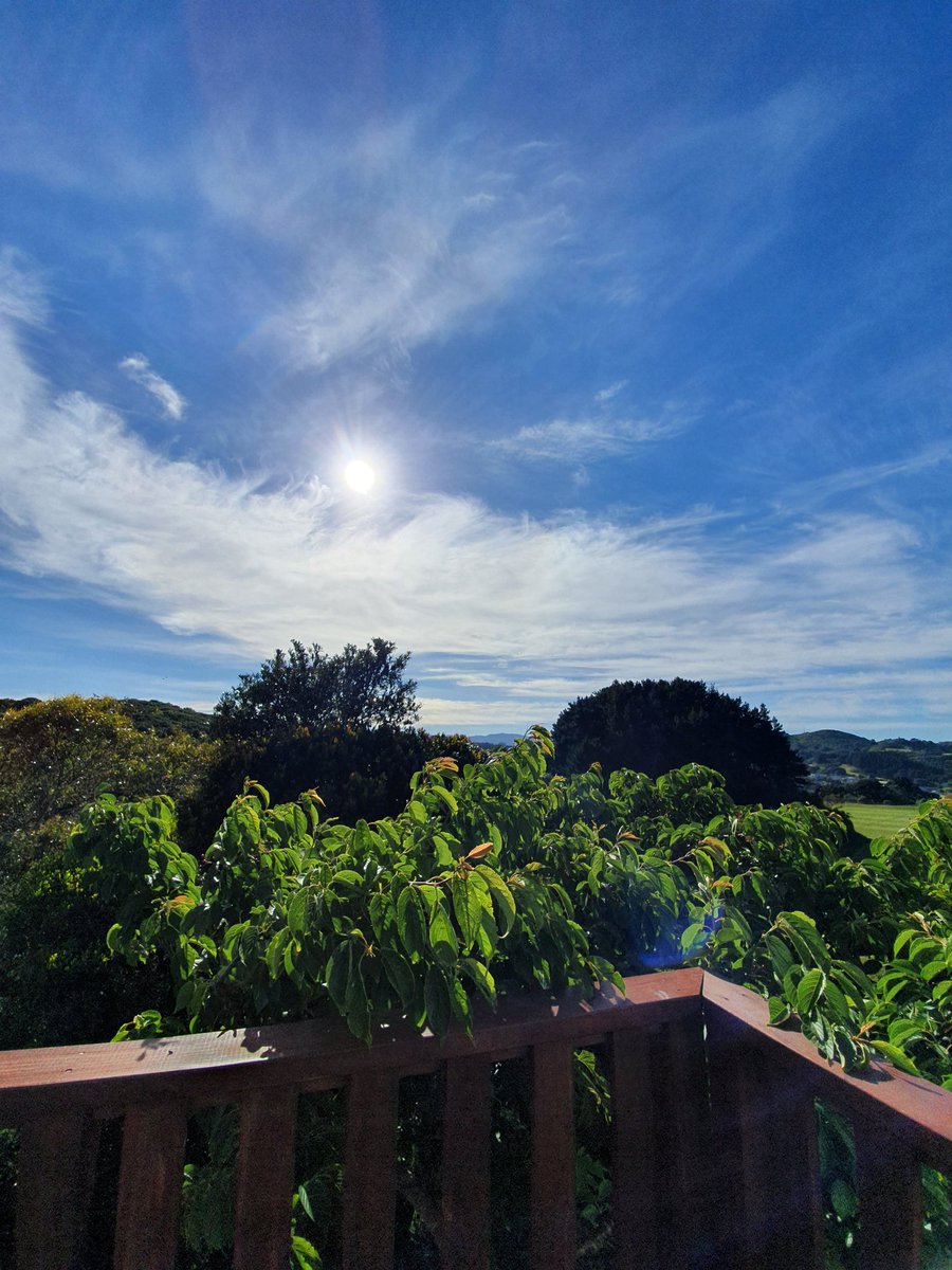suba23's tweet photo. MΕrena, it's a strato-cumulus kind of day in Te Whanganui-a-Tara. Looking forward to day 3 of #BeyondHumanScales #NgaTohu2021 Join us at https://t.co/P5wYMc7xUb https://t.co/SqEhtGNPdK
