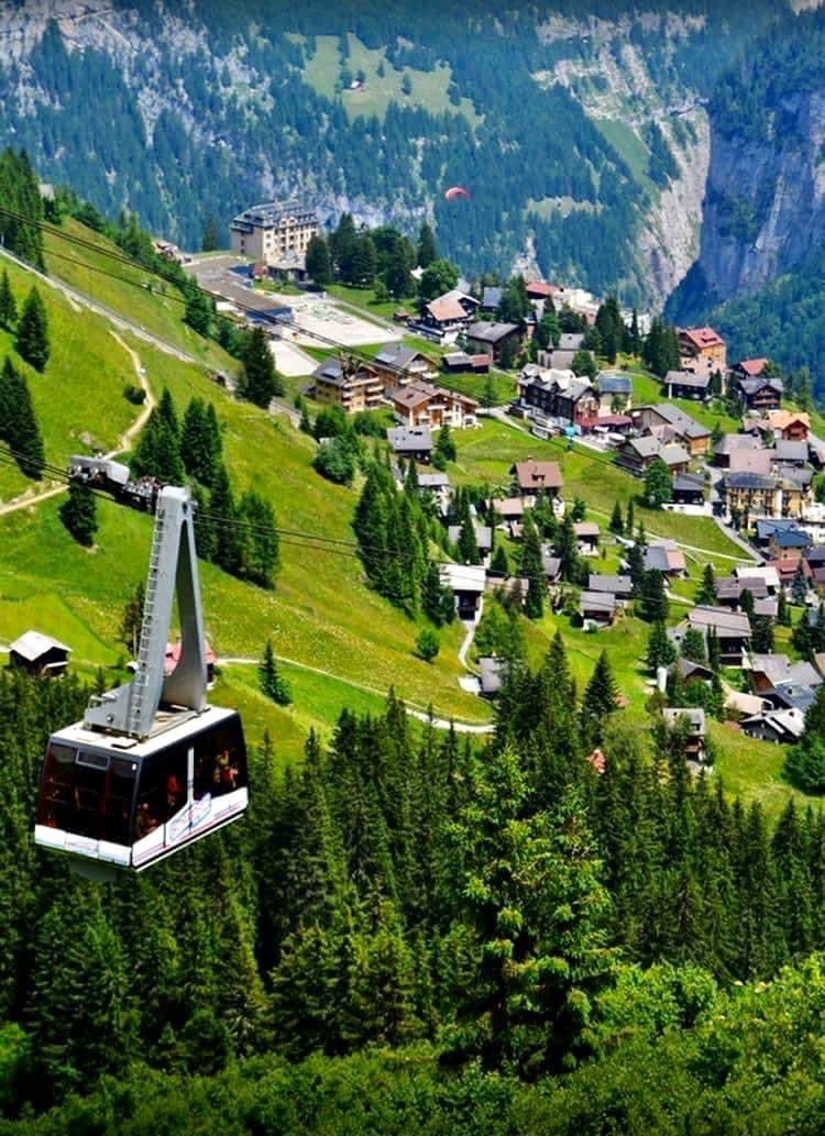 RobertoAbanto's tweet photo. Nature for You. https://t.co/xaozvlHo2n