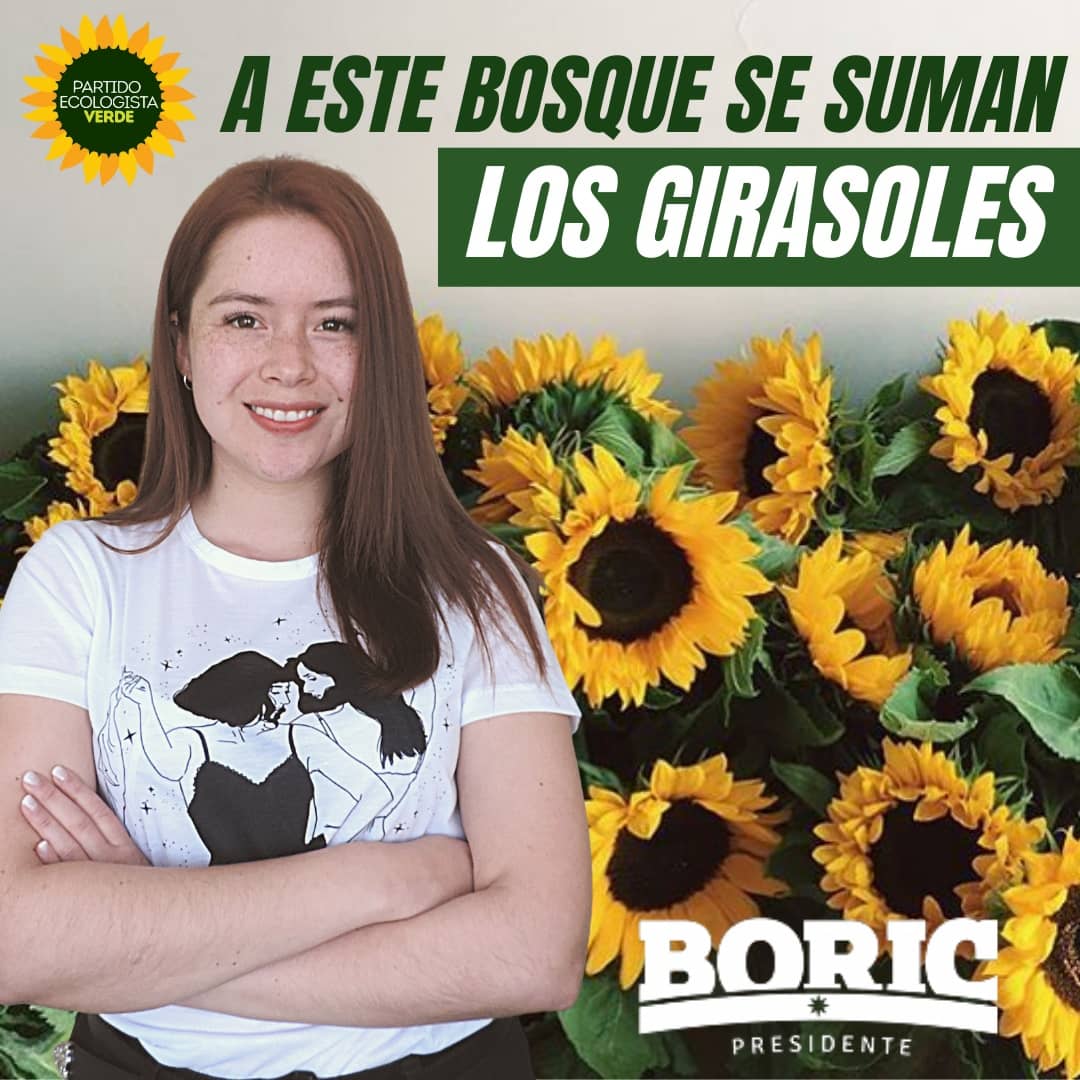 Como <a href="/ecologistachile/">Movimiento Verde Chile</a> hemos tomado la determinación colectiva de apoyar y ponernos a disposición de la candidatura de @gabrielboric en esta segunda vuelta presidencial 🌳.

¡Para enfrentar la Crisis Climática, seguimos! #Elecciones2021CL