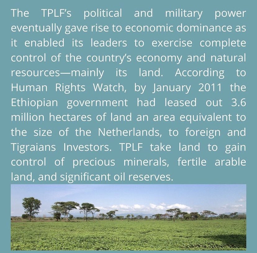 Reframe Ethiopia tweet media