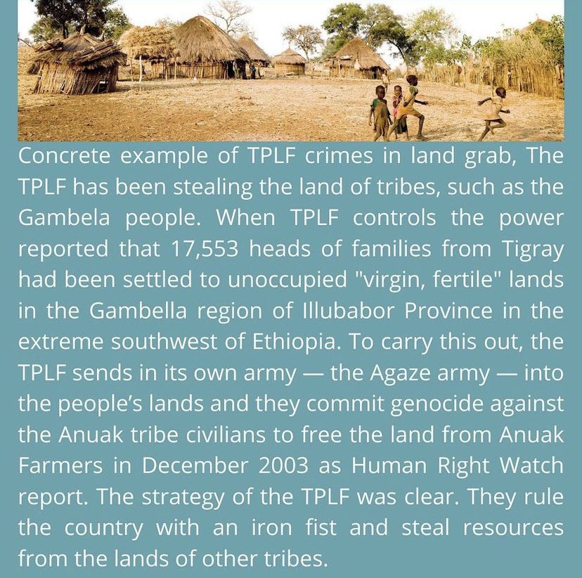 Reframe Ethiopia tweet media