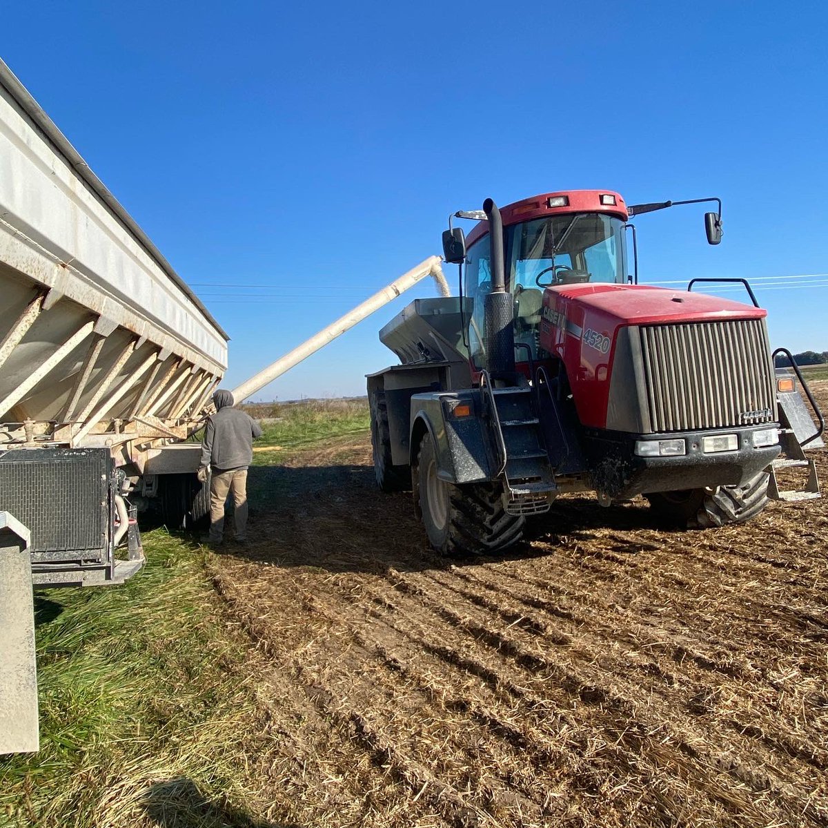 Rubenacker Farms tweet media