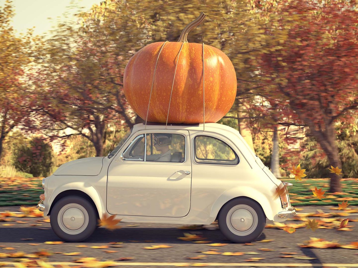 May the best things in life be yours, not only this Thanksgiving but throughout the years. Happy Thanksgiving!  mailchi.mp/322f1a68246a/g…