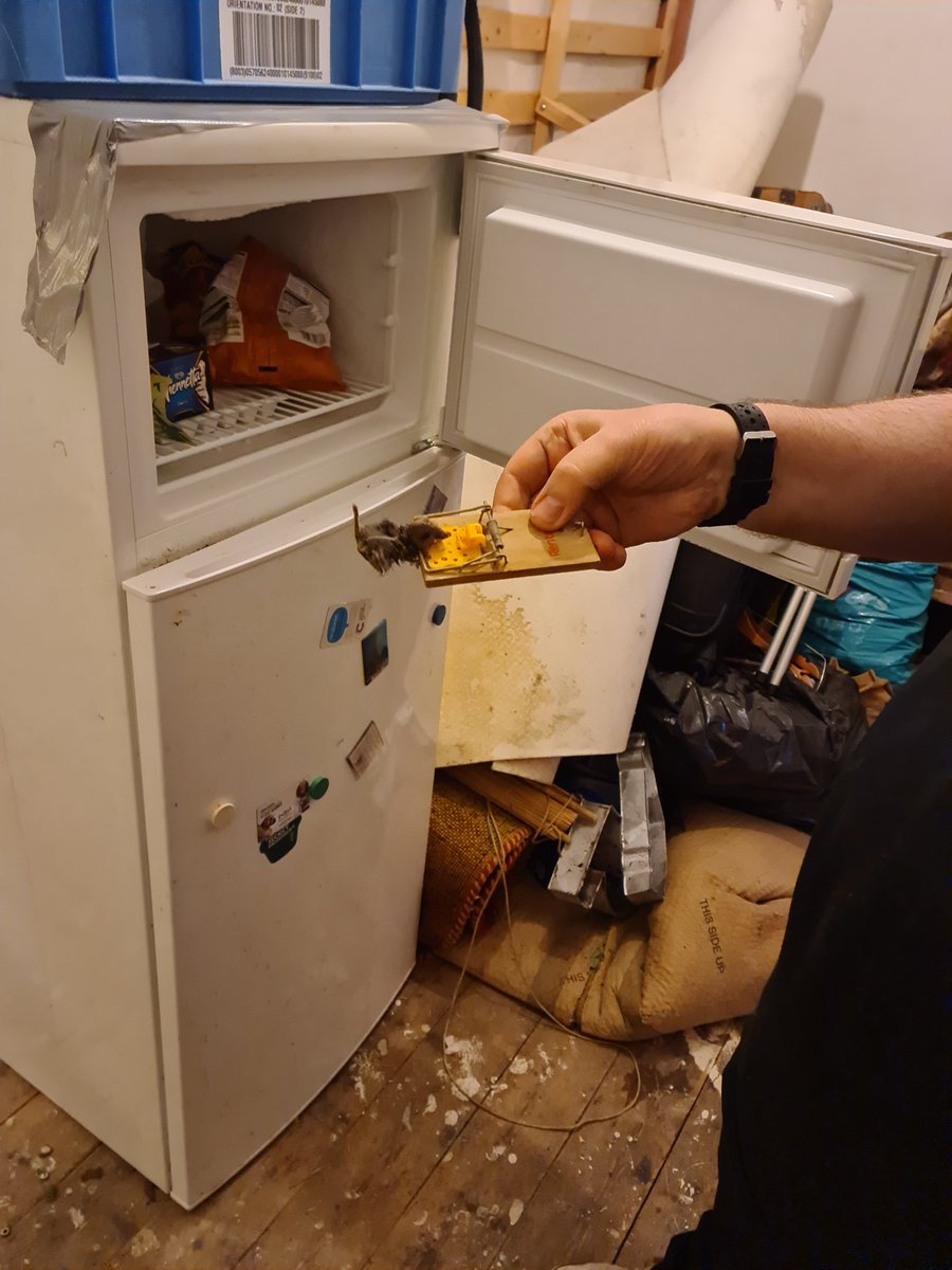 MoylanPredator's tweet photo. Canny belive the boy who's house am working in is catching mice in his house and freezing them to show the council 🤮🤮🤮 in with his food 🤢 https://t.co/6LN4gctJ9g