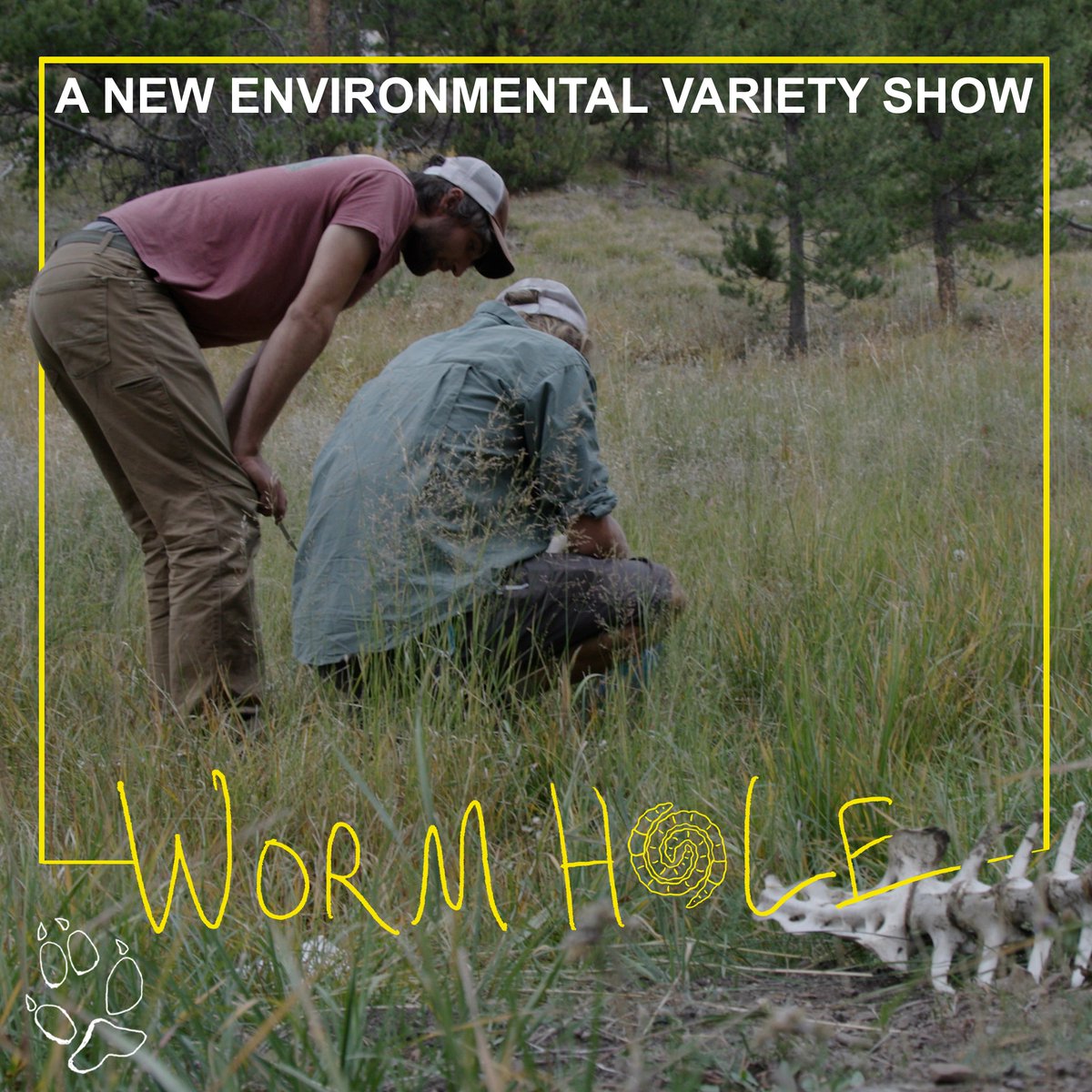 videoconsortium's tweet photo. Whether you're on a plane or on your couch, physically or mentally making your way to your #Thanksgiving destination, take a minute to #watchthis rad new short web series from #VCmember Sutton Raphael - "Wormhole". 

Link here: https://t.co/BhSxui5s7J https://t.co/vN3e7eGCmW