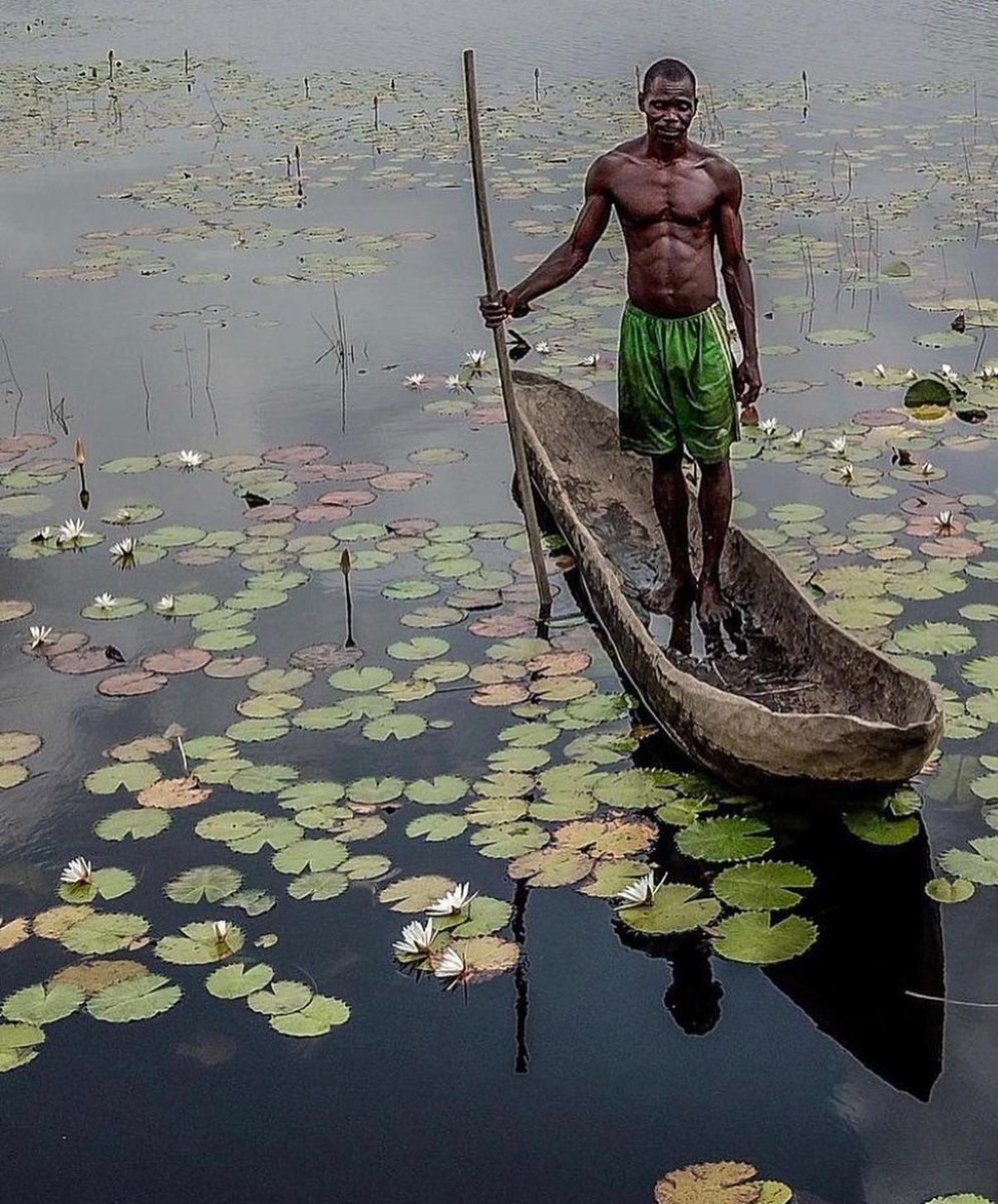 thisissierraleone tweet media