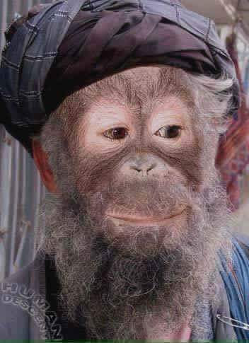 الشيخ قرد بن ربح يقولكم جوعان نفسه ف سله موز🌚