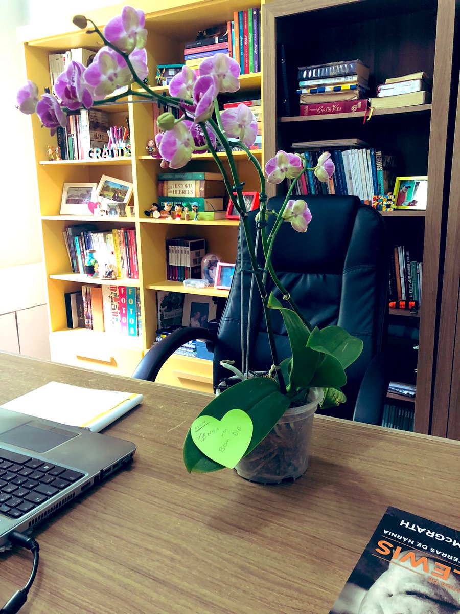 Moniquebaliza's tweet image. Chega no meu cantinho e encontrar essa supresa…🤩😍🥰
Eu amei @tgbaliza  
O meu está sendo ótimo 💐