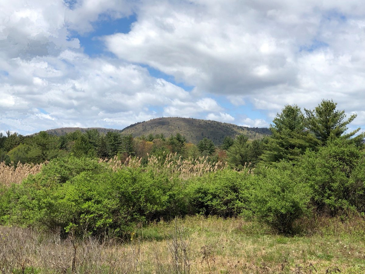 NEWS: <a href="/GovKathyHochul/">Governor Kathy Hochul</a> announces an 860-acre expansion to Moreau Lake State Park. The new lands will be known as Big Bend Point and will expand options for outdoor recreation and protect critical habitat for native plants and wildlife.🦋on.ny.gov/3CNJxpc
