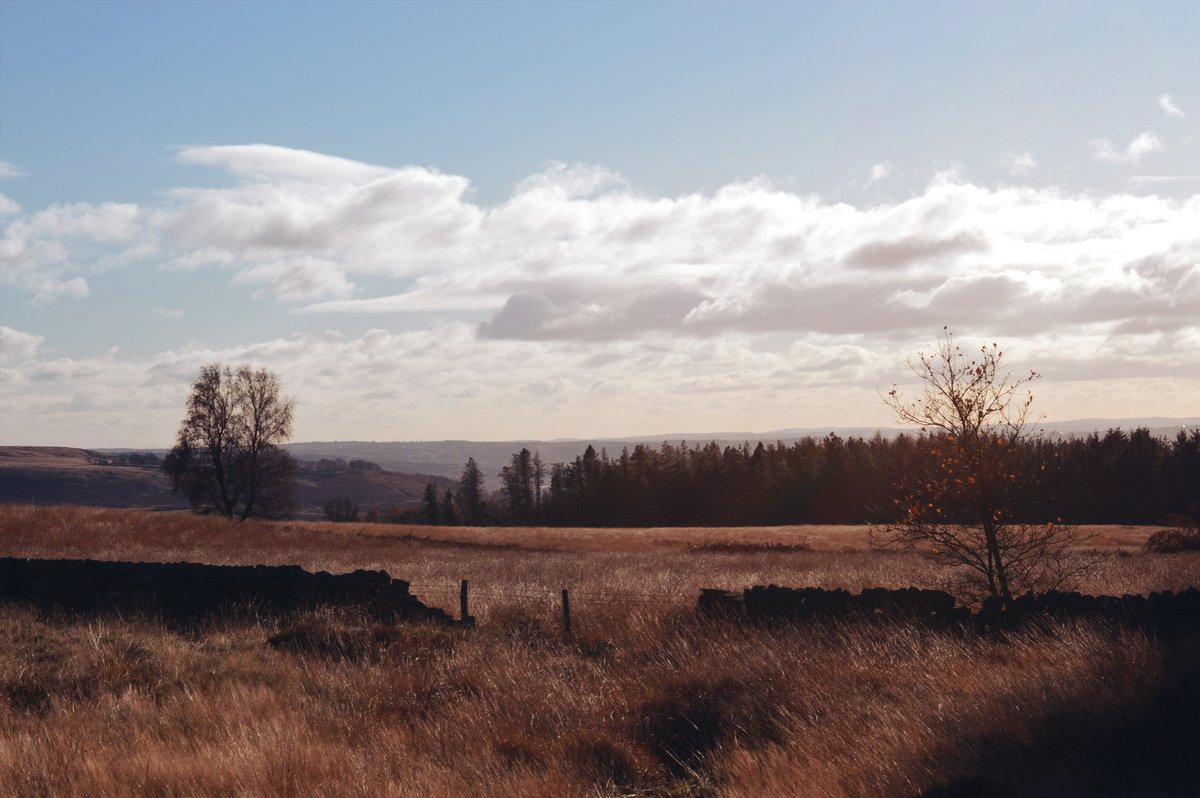 Rombald in her autumn dress #westyorkshire