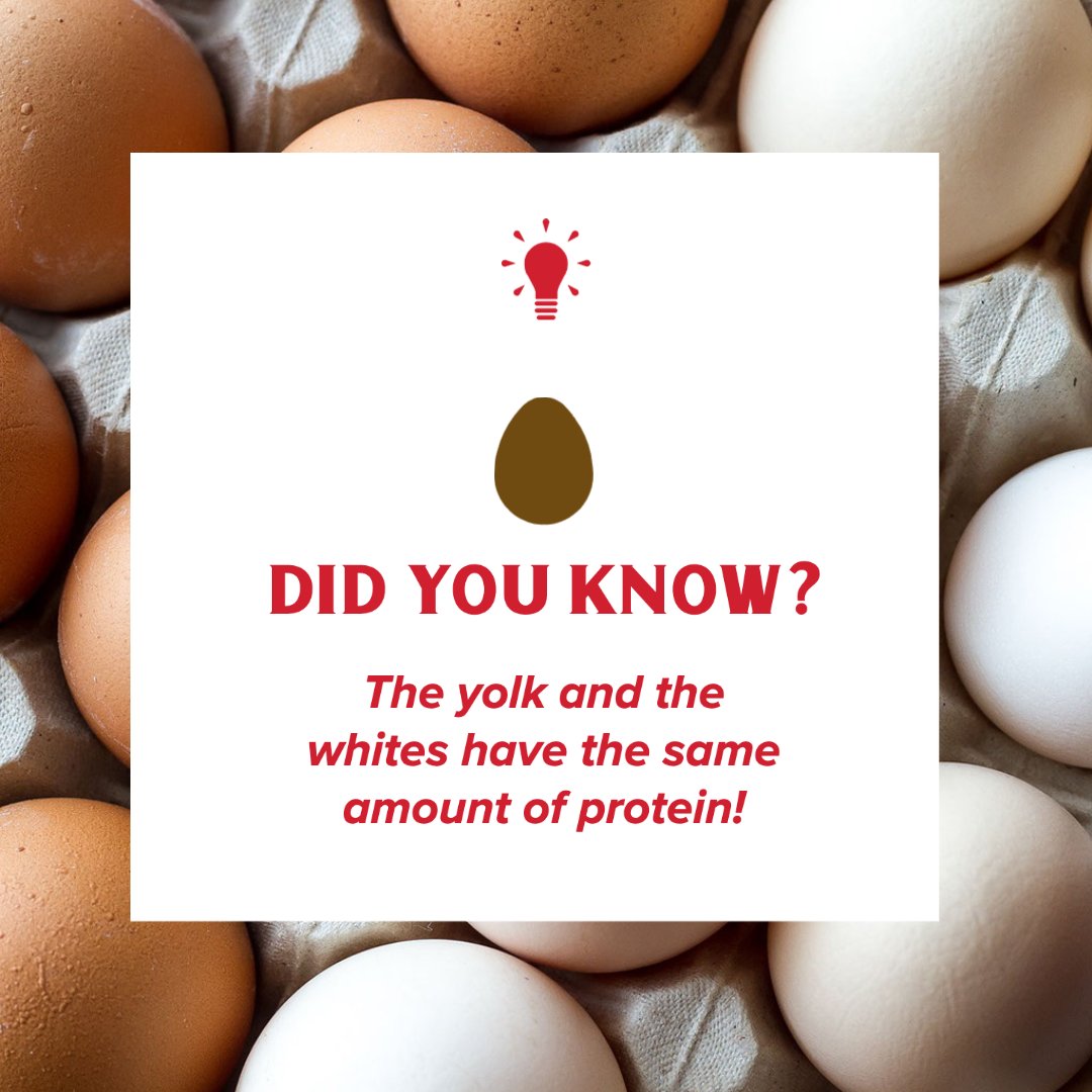 iStudyOleMiss's tweet photo. In honor of the Egg Bowl tomorrow! Did you know this? https://t.co/tzHsBhhGfn