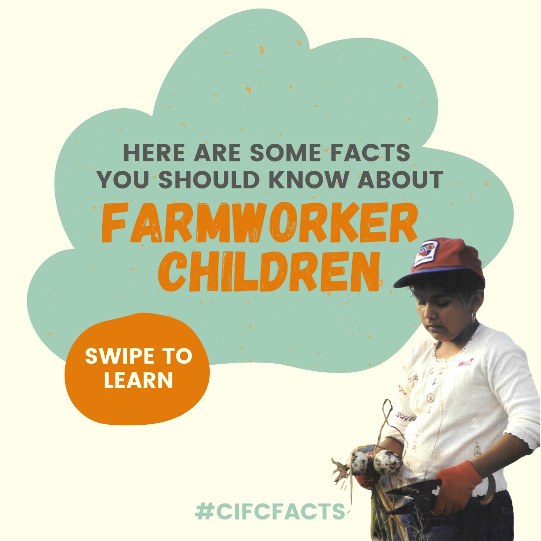 CIFCampaign's tweet photo. Information is key in order to #advocate and #help a cause that is close to your heart 💜
👉HERE are some #Facts about #FarmworkerChildren that you should know!
☀️Like & Share
#EndChildLabor #ChildLabor #cifc
@ChildLaborCLC @SavetheChildren https://t.co/z6zp8xqkZa