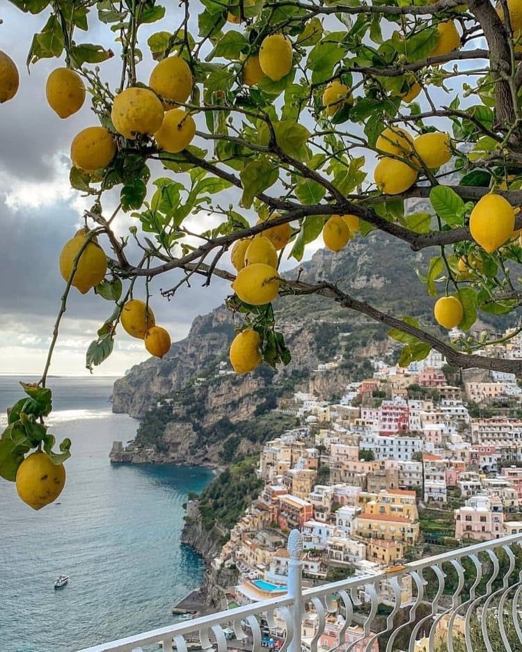 softwhitecloud's tweet image. 