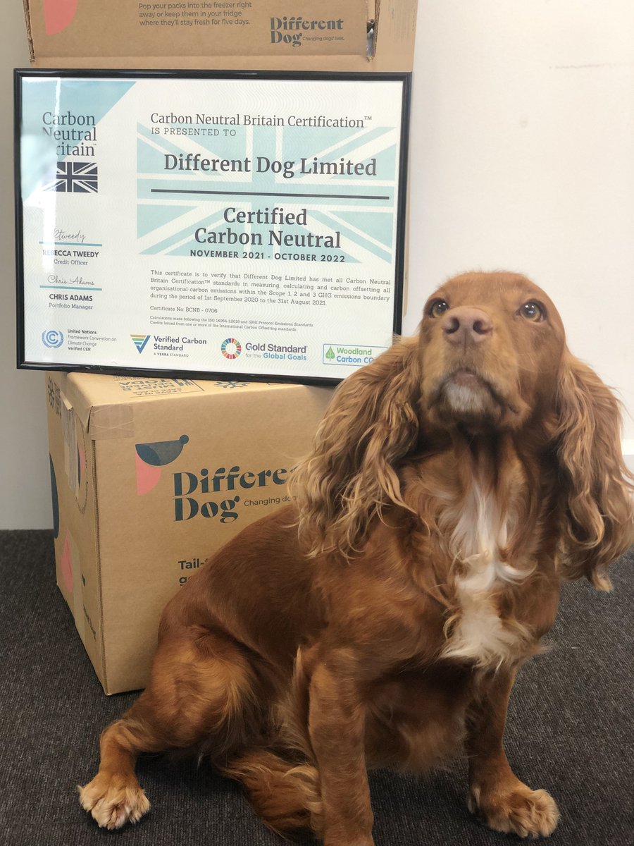 _differentdog's tweet image. We've got some exciting news.... Head over to our instagram to find out more🌏 #carbonneutral