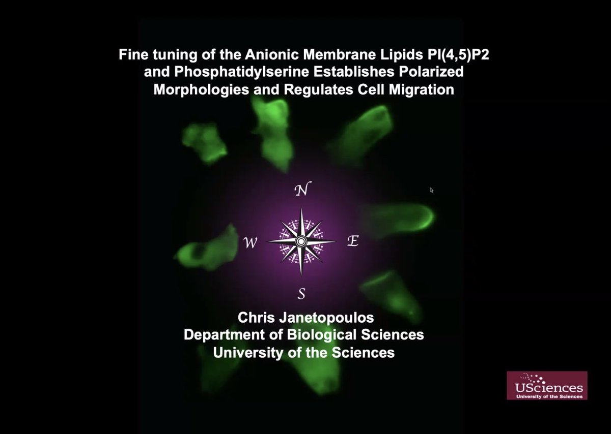 LabDamer's tweet image. Wonderful talk by Dr. Chris Janetopoulos at last week’s Biology Department seminar! @cmichSE @Cmich_Biology #dicty