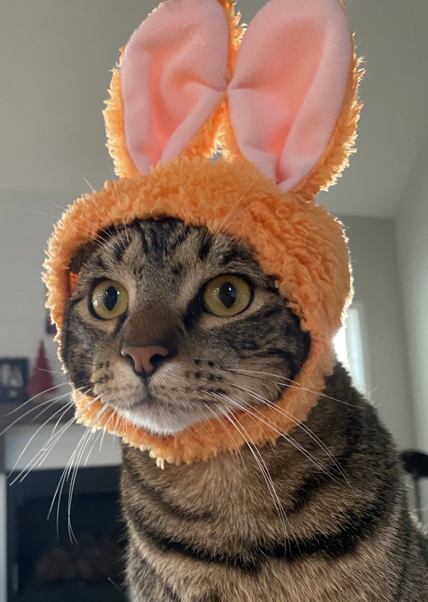 marzishnt's tweet photo. he will find you. https://t.co/8dwGlXuPB4