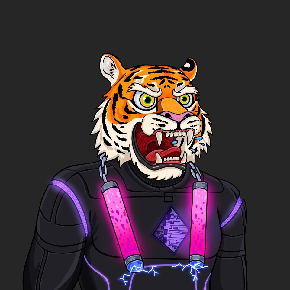 Cyber Zoo NFTs | MINTING SOON! tweet media