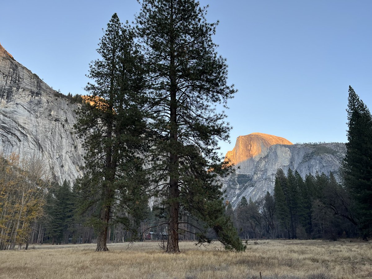 riabhatt_'s tweet photo. Yosemite 🏞🤩 https://t.co/bTTYYTbKxx