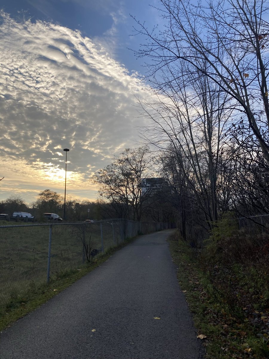 LesaHannah's tweet photo. Brisk 16 mile cycle listening to @blissfieldsto @thepainsofbeing @radiodepartment @castlebeat @TheRealYLT @DIIV @theraveonettes @Sleater_Kinney @alvvaysband @terryvstori @lemondazeband #RubyHaunt #FunWithEther https://t.co/X4WsBLHd6P