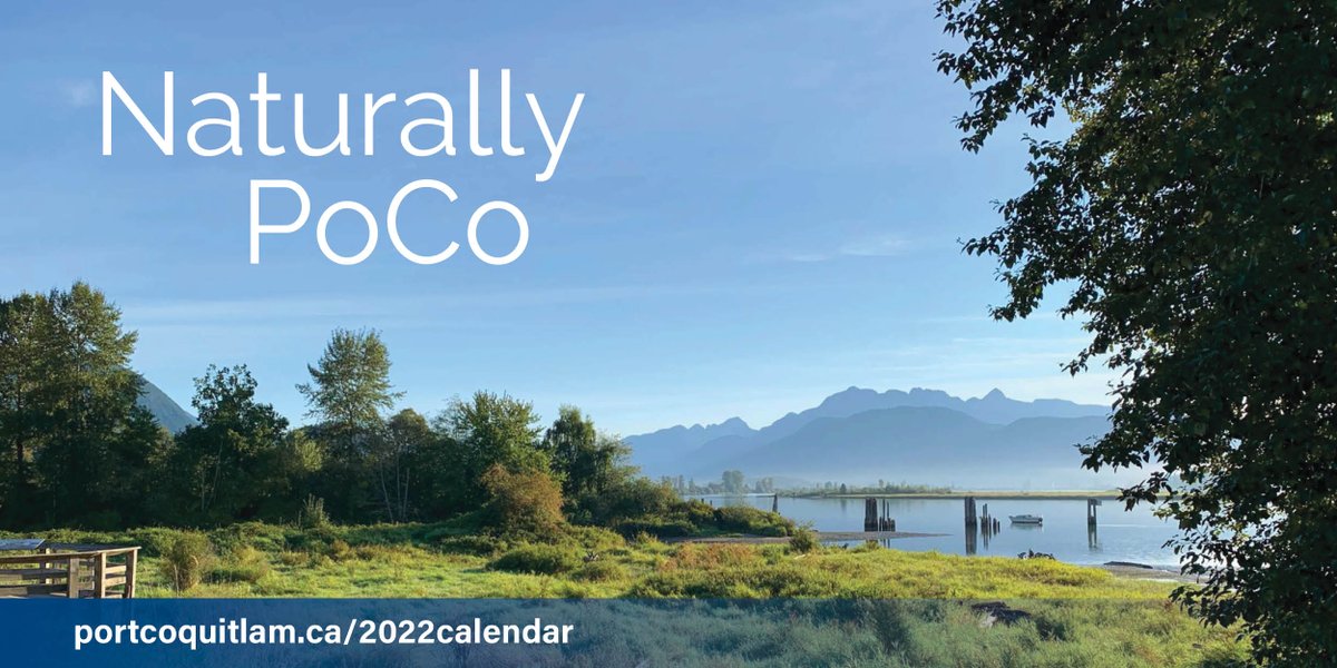 CityofPoCo's tweet photo. Watch your mailboxes for your 2022 calendar๐
#PortCoquitlam's natural beauty, captured by local photographers, is featured once again in the 2022 city calendar that will start arriving in mailboxes in early December. https://t.co/RZwYw80qEU
#CityOfPoCo #NaturallyPoCo https://t.co/xxtGsqwuNS