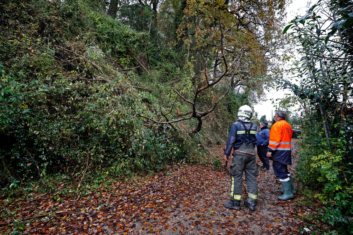 112Cantabria's tweet photo. Retirada de árbol caído sobre tendido eléctrico en #CabezónDeLaSal. Operarios del @aytocabezon levantaron el tronco con una pluma para facilitar las maniobras de corte de los bomberos de @112Cantabria. En el lugar también @PC_CabezonSal.
📸 @JavierRosendo7 https://t.co/6yY7envhyk