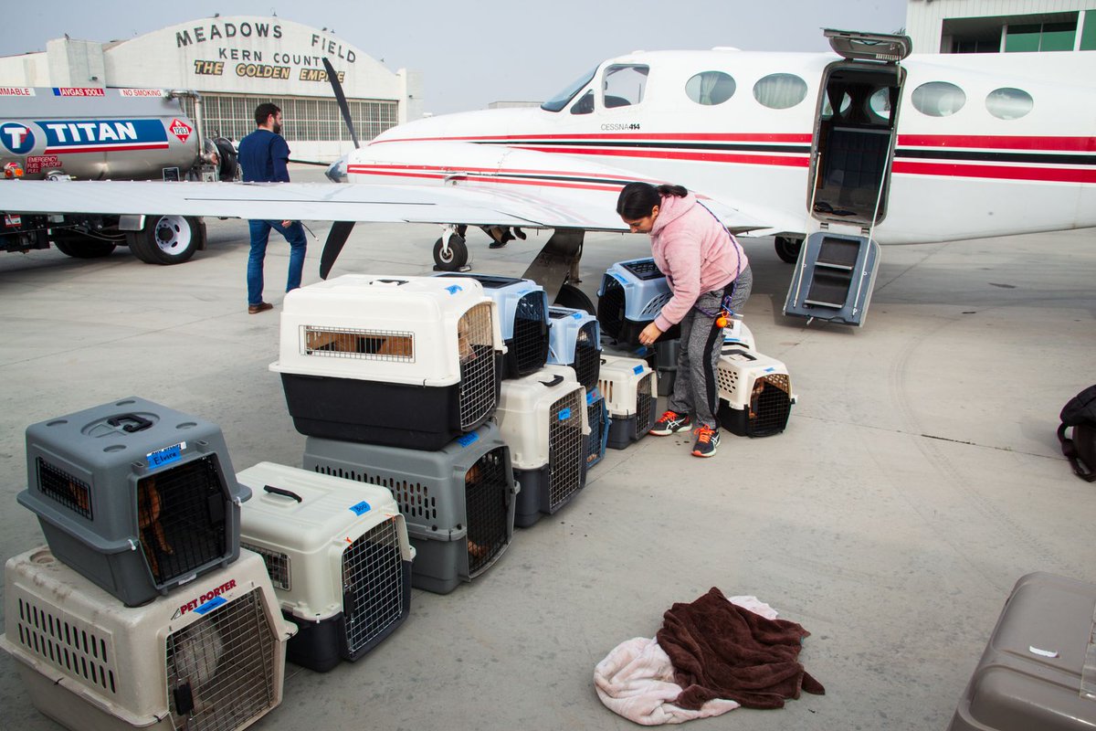 Marley's Mutts Dog Rescue tweet media