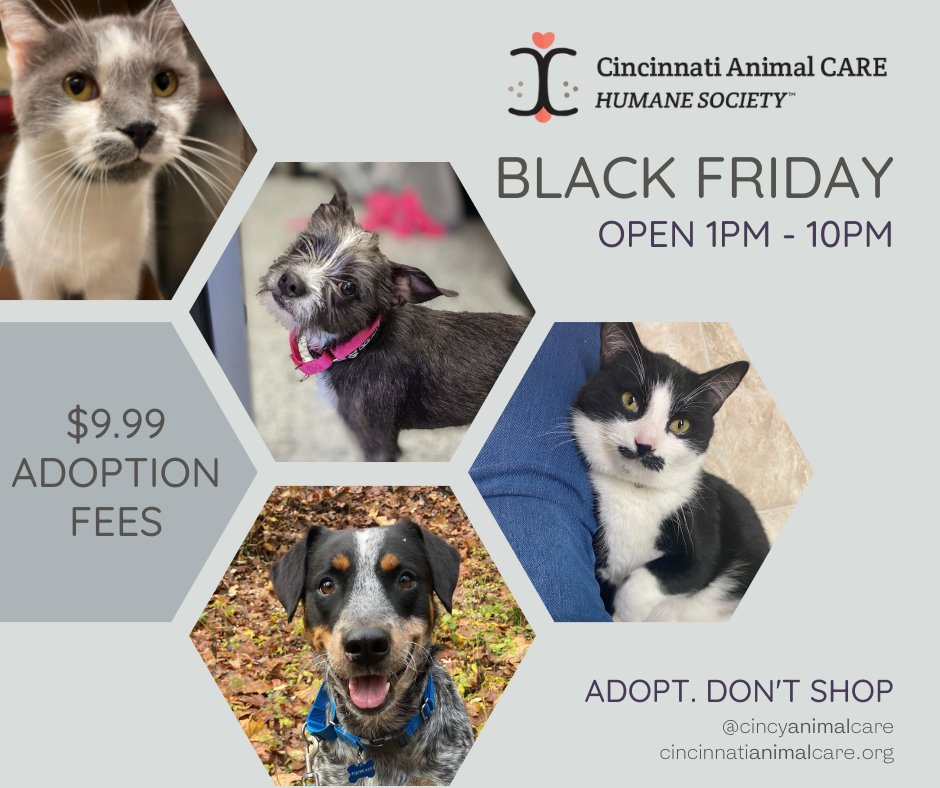 Cincinnati Animal Care Cincyanimalcare Twitter