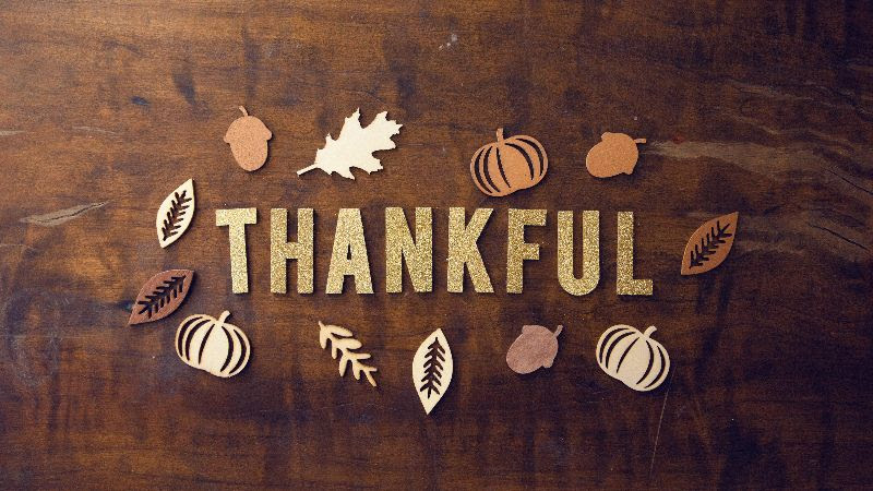KidsChanceInc's tweet photo. Let us take a moment to thank those in our lives who made us feel grateful throughout the years. Wishing our entire Kids’ Chance community, especially our kids and their families, a memorable Thanksgiving season! https://t.co/IVeFsWs4Rj