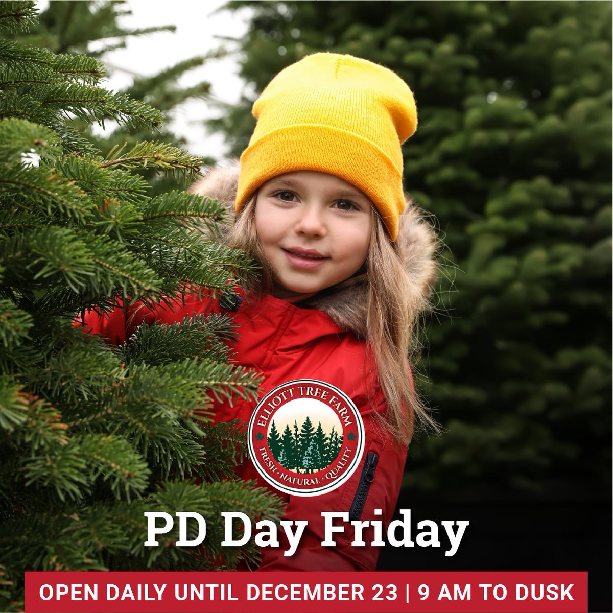 ElliottTreeFarm's tweet image. Looking for something to do this upcoming PD Day? Share your holiday tradition with us this season! 

Miller’s Meats Food Truck and our Hot ChocolateBar will be open so everyone can come for lunch with the family!