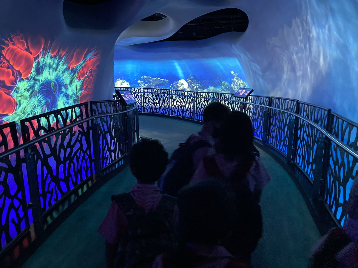 Deputy at Dubai English Speaking School (DESS) tweet media