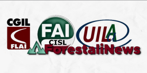 ForestaliNews's tweet photo. Forestali. L’accordo Stato-Regione prevede tagli al settore e riforma che non convince lavoratori e sindacati https://t.co/Hkp39EkRvd