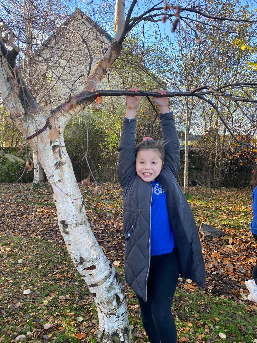 Broomhouse Primary 5 tweet media