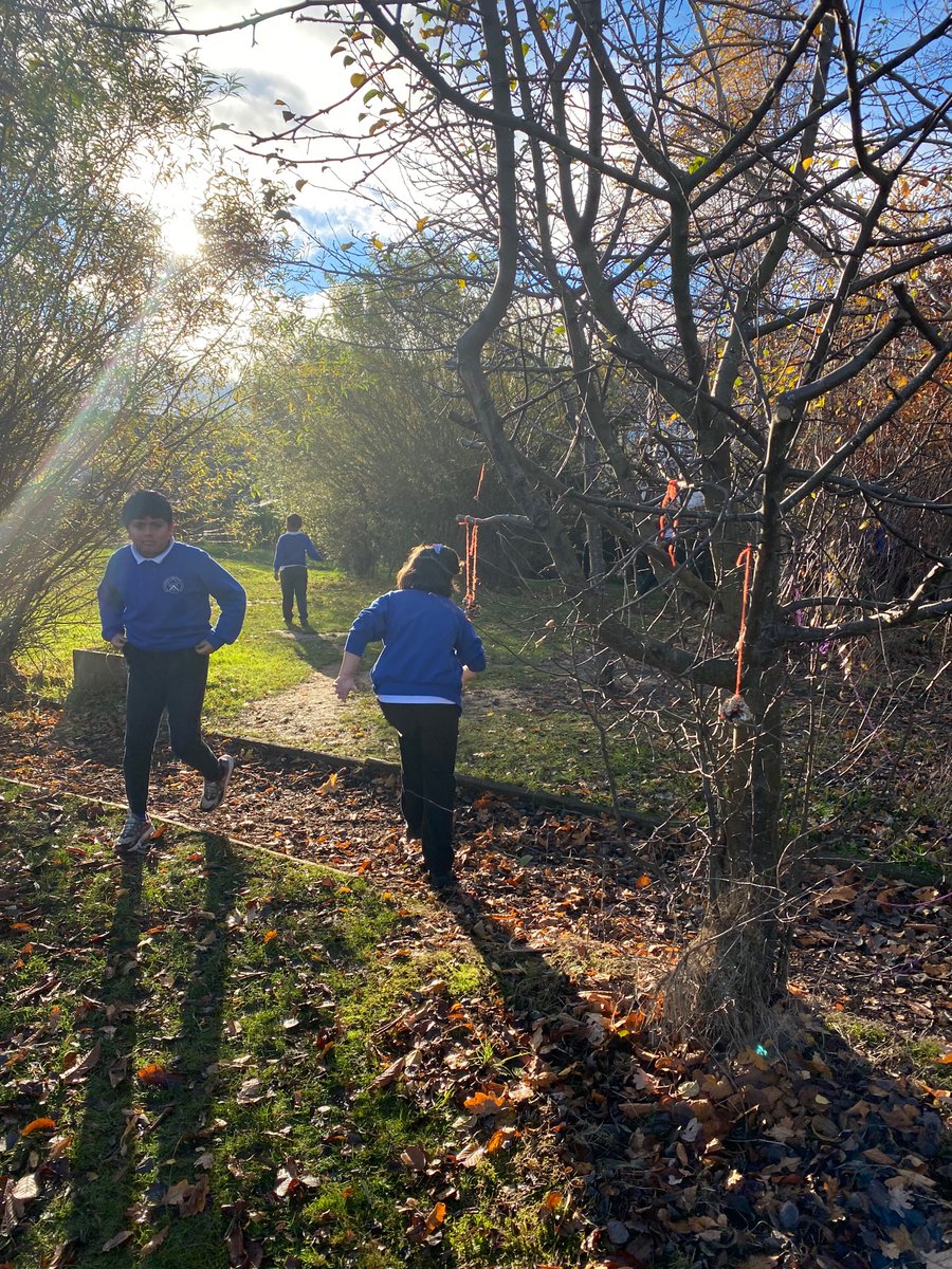 Broomhouse Primary 5 tweet media