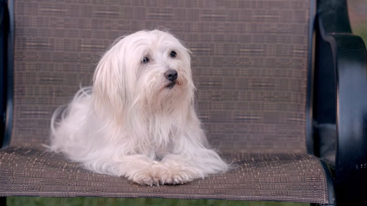 nonewgirlcontxt's tweet image. 