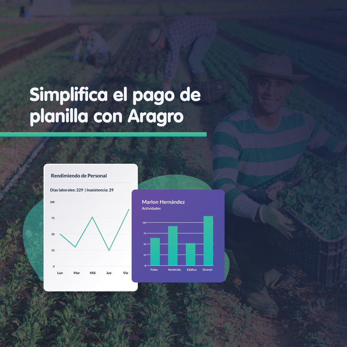 AragroApp's tweet photo. Aragro facilita el seguimiento de la asistencia y labor de tu personal en la #finca haciendo más sencillo y rápido el pago de planilla. Ya no tendrás que hacer los cálculos de la #planilla porque ¡#Aragro lo hace por ti! 

Conoce más en: https://t.co/D5u6rRuuZq
#SoftwareAgrícola https://t.co/j8tWccF9gV