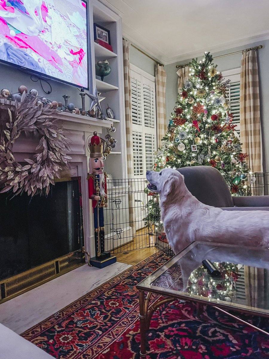 whodeymags's tweet photo. Well #puppiescrashchristmas on @hulu is everything we could have asked for…
#dogs #hulu #puppies #GoldenRetrievers https://t.co/u6J3z4kOZw
