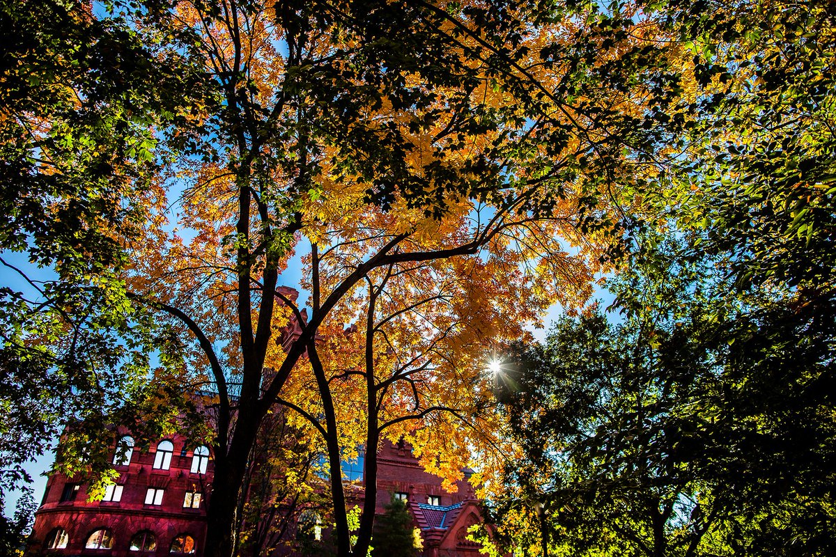 Penn's tweet photo. Fall on Penn’s campus, as ever, is a majestic spread of gold, red, and orange. The beauty highlights the necessity of mitigating climate change. https://t.co/O6gYJqywzq https://t.co/peZEoZTqnK