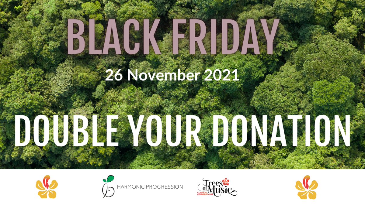 treesofmusic's tweet photo. Want to do something about ramped up unsustainable mass consumption this #BlackFriday?

So do we &amp; @HarmonicProgess 

Add up what you'd have spent on #BlackFriday2021 - donate it our musical #reforestation efforts &amp; they'll x2 your money!

Find out how: https://t.co/ZfzHChyGzM https://t.co/35OXUiuNnu