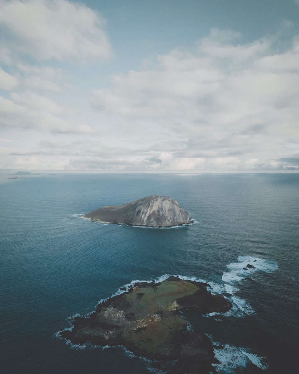 Here's a little hump for your Wednesday.

#hawaii #dronepov #dronephoto #dronephotography #hawaiitravel #hawaiianairlines #islandlife #landscapephotography #NFTGame