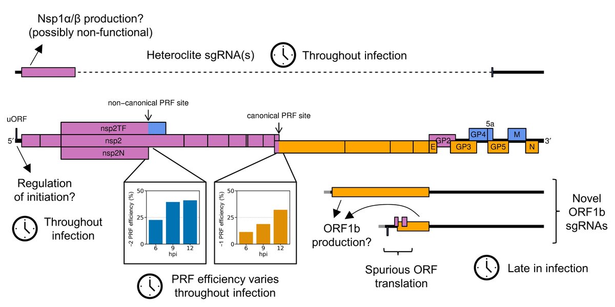 Georgia Cook tweet media