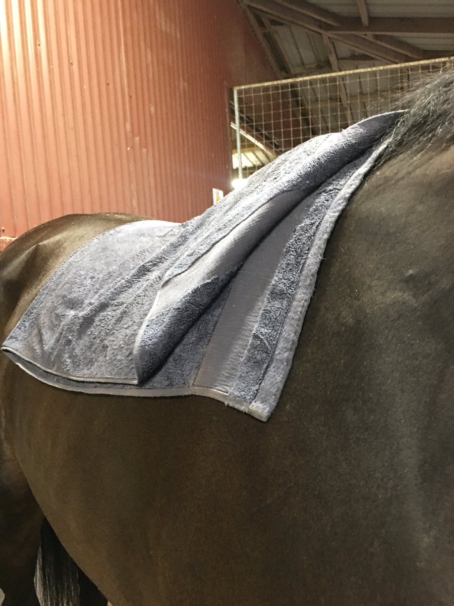 Teina Walters tweet media