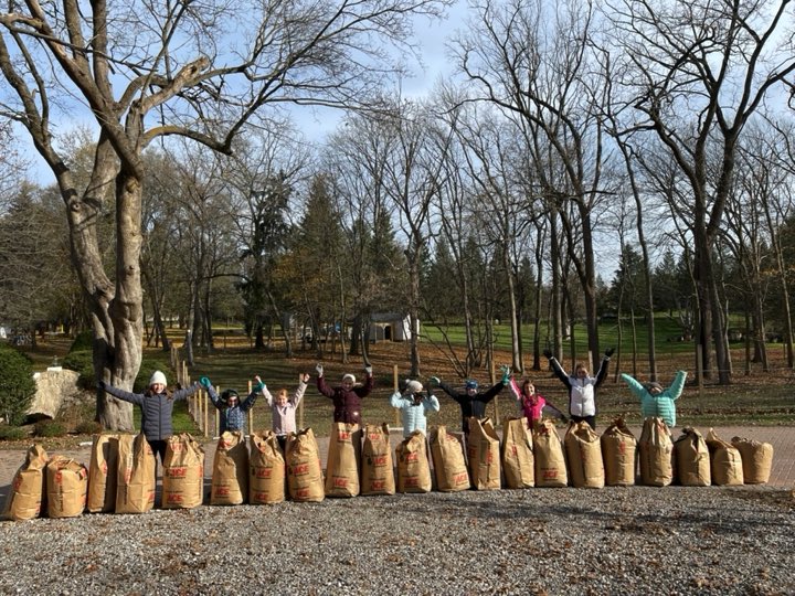 Giving thanks and raking leaves on our day off from <a href="/NoviMeadows/">Novi Meadows Elem.</a> ! #Novitogether <a href="/GSSEM/">Girl Scouts of Southeastern Michigan (GSSEM)</a> #Troop76932