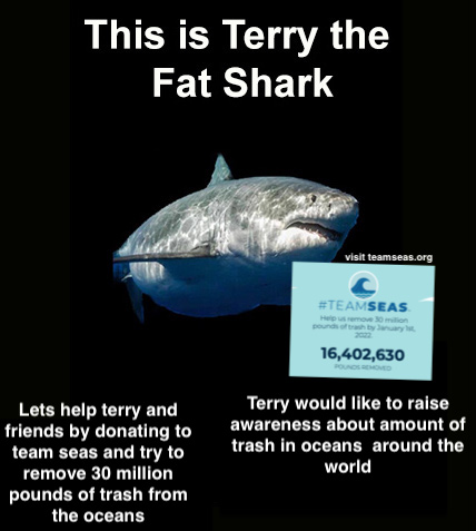 Terry The Fat Shark tweet media