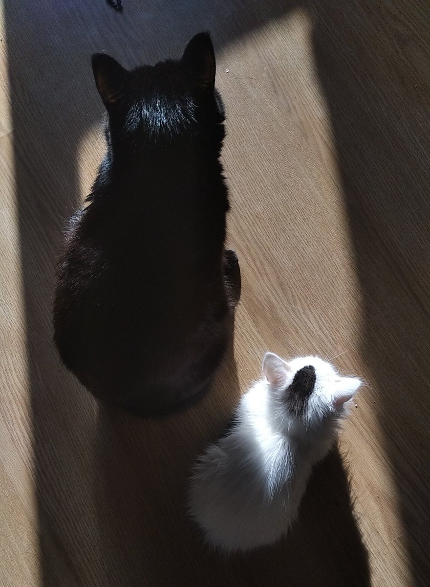 Terminamos un miércoles con ilusión de construir tecnología 3D... Pronto un servicio más en Desertys.com