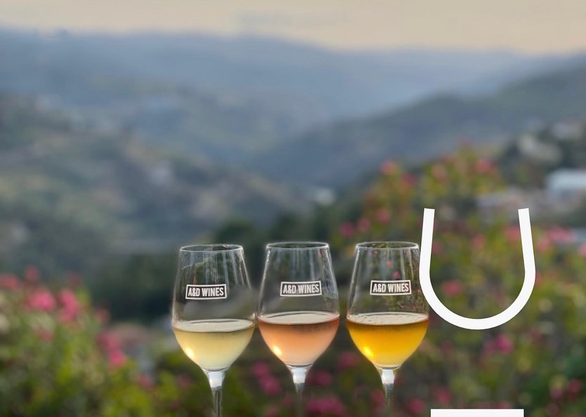 wine_alle's tweet photo. A&amp;D Wines - Quinta de Santa Teresa's vineyards are structured in terraces, supported by ancient granite walls and served by pavement accesses.
The tasting room, with panoramic views, is the ideal place to taste and enjoy the wines produced there

#winetour #winescape #partnership https://t.co/xWjnwJUgLj