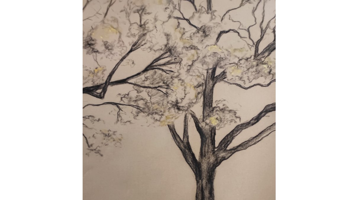 Instituto de visión tweet media