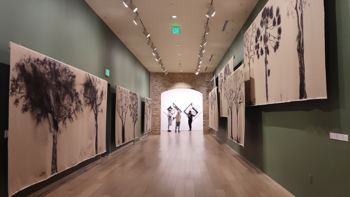 Instituto de visión tweet media